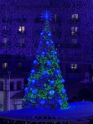 Gaylord Palms - lit tree in lobby