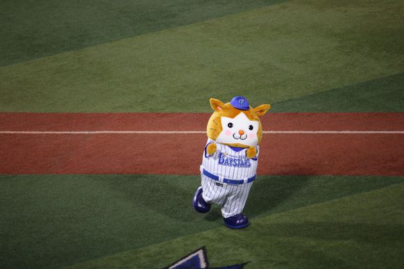 Bay Star mascot