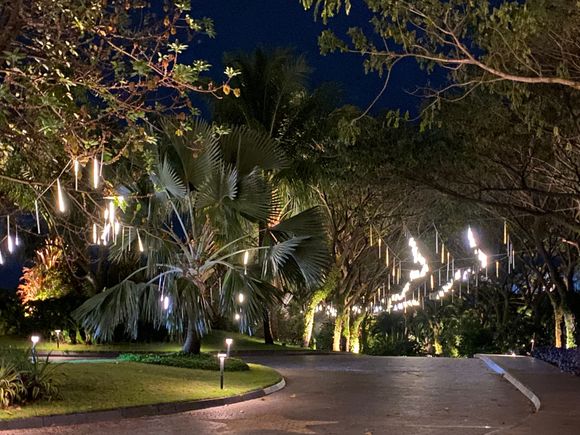 Night view of driveway