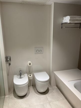 Toilet and bidet 