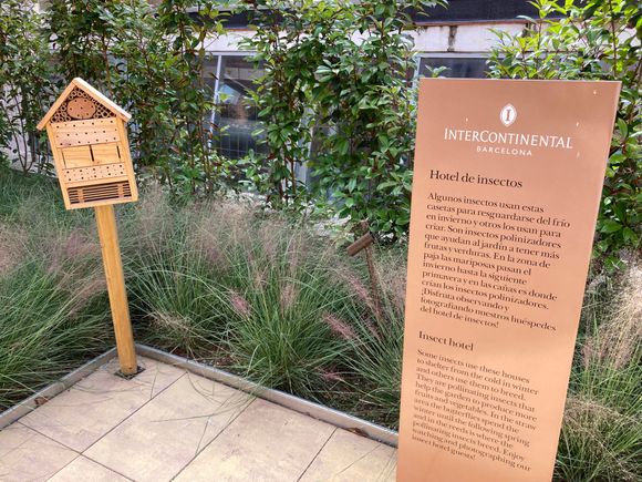 Insects also have their own hotel
