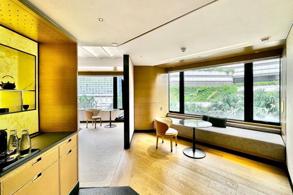 Living (But, this room is not a Suite category)
