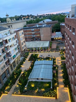 The garden seem from above : it catches most sun from the west making it a cool place of shade during hot sumners 