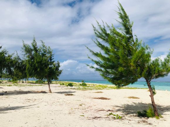 The windy north side of the island