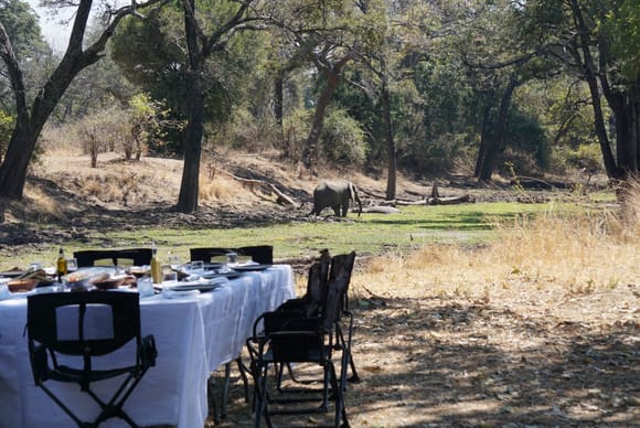 Bush lunch with elephants.  More came for mud baths in the river as we dined.  