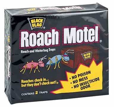 roach motel