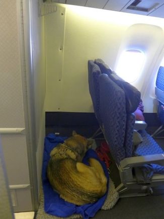 AA763 row13