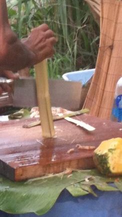 sugarcane