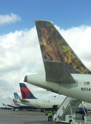 CUN tails
