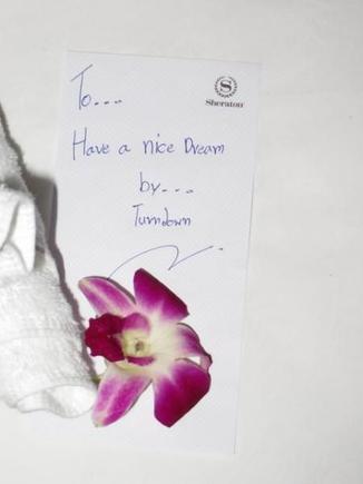 Note with our turndown towel origami: "To... Have a nice dream. By... Turndown"