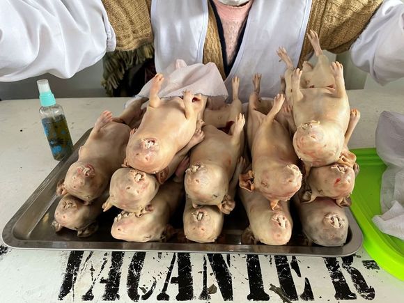 Cuy, the other other white meat