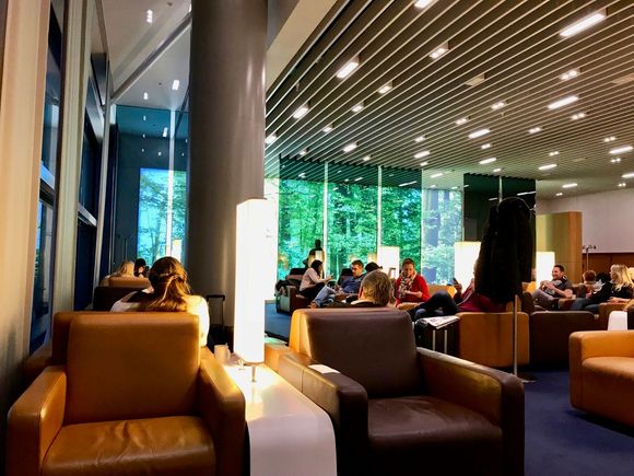 Relaxing forest wall at Senator