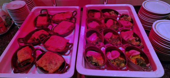 The heat lamp throws the colour of the hot dishes off a bit, but they tasted great and smelled fantastic: lasagne on the left, and broccoli with cheese and roast meat on the right.