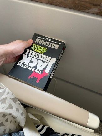 Seat 36A - Window seat - no resting your head against the side!