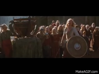 Vikings Fighting