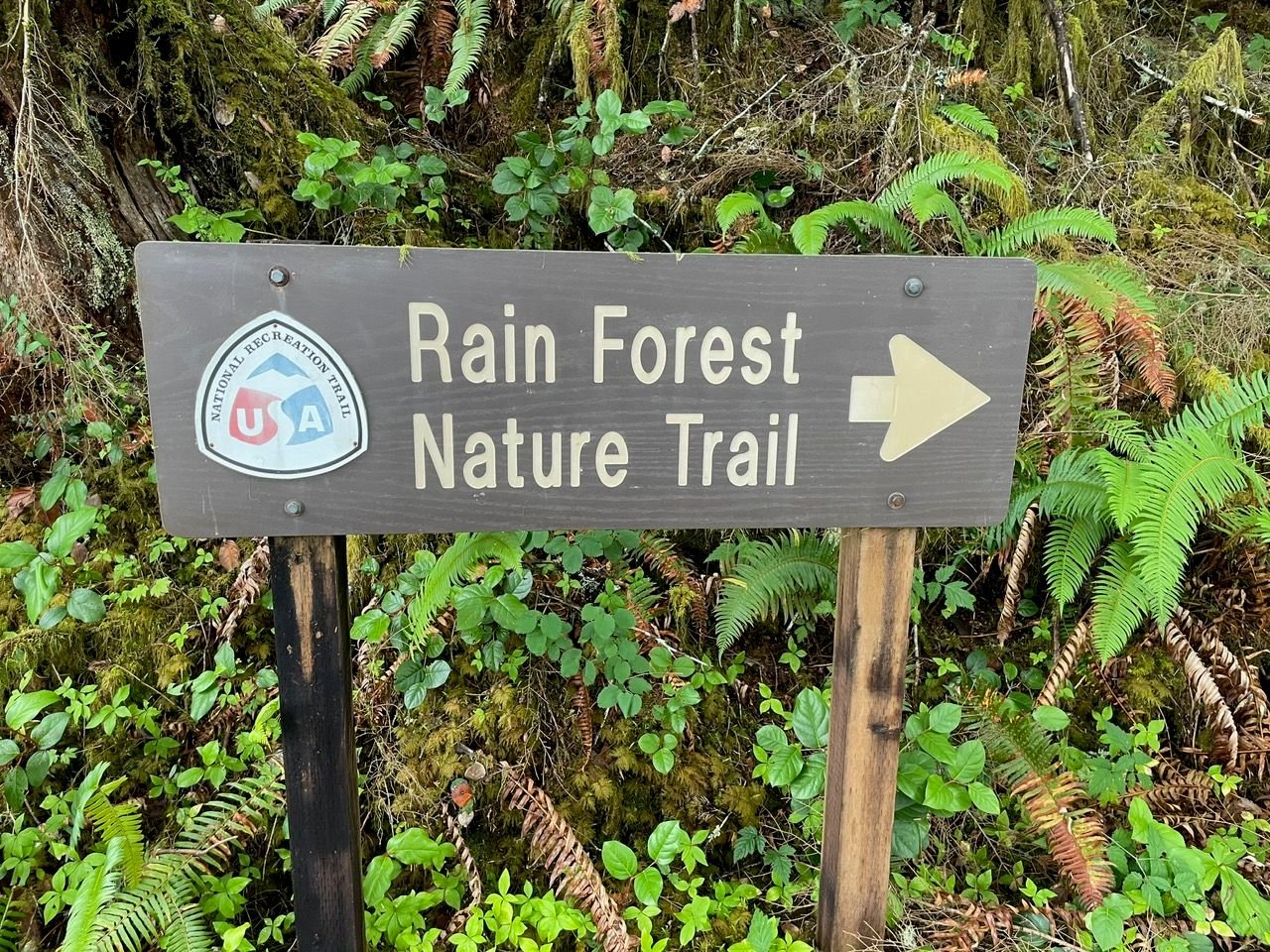 Highly recommend stopping here on your way north on Hwy 101.