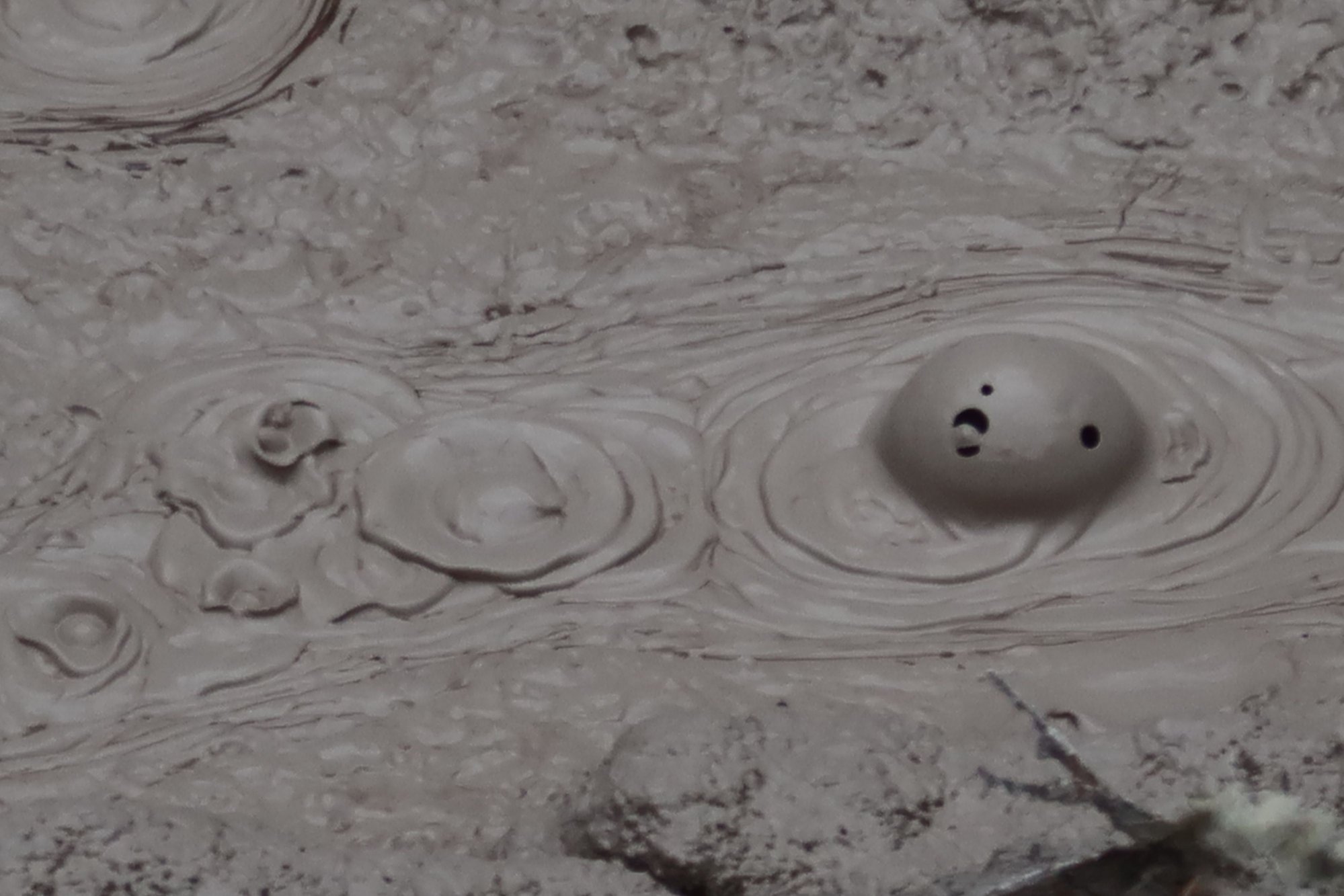 Mud Pool, Orakei Korako