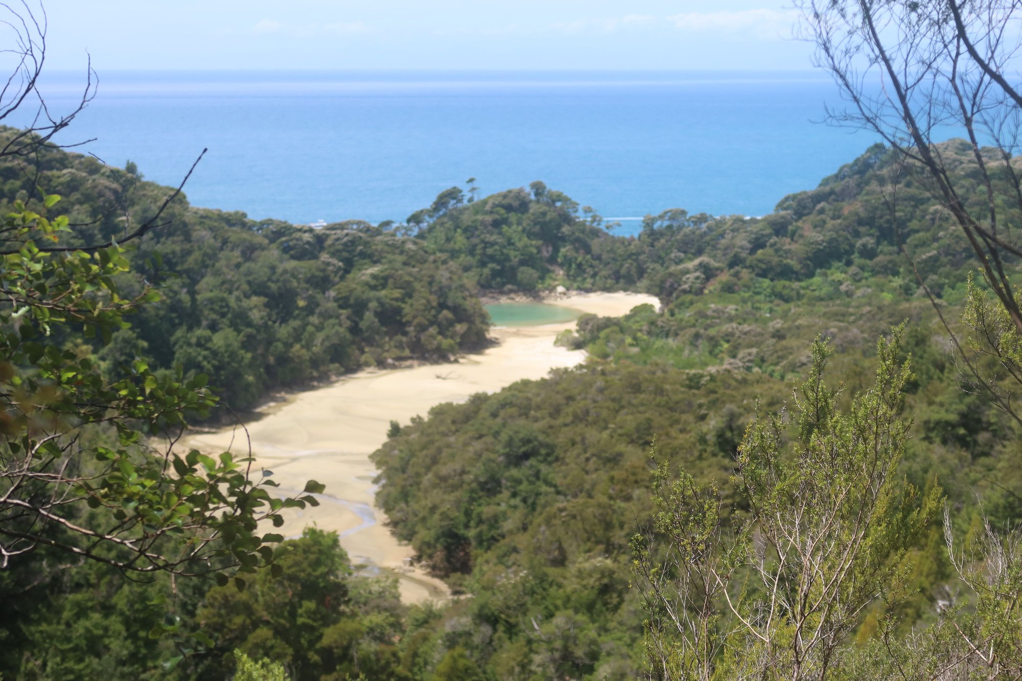 View from Abel Tasman Track