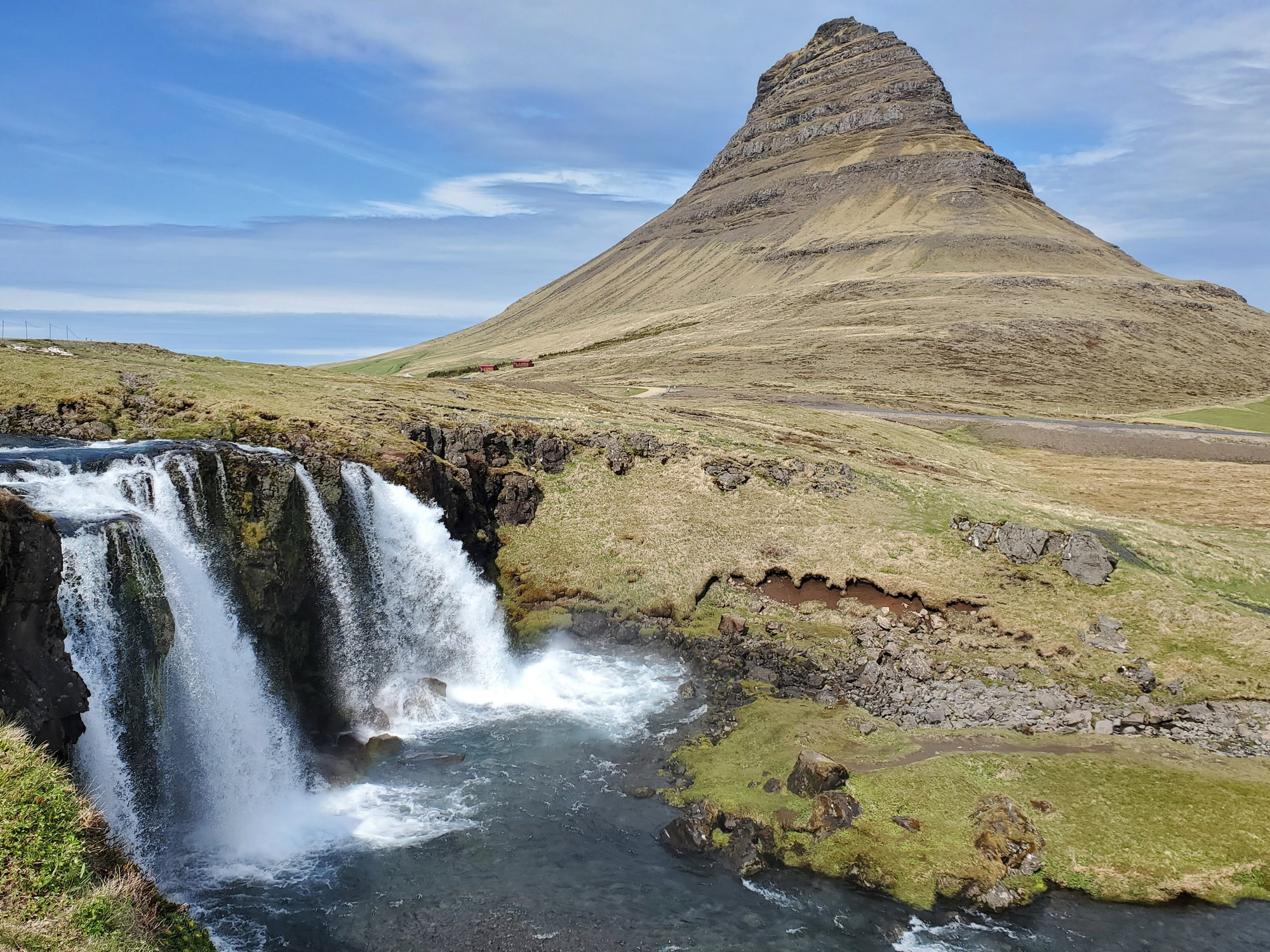 From Iceland — Busted With Whale Bones In Luggage