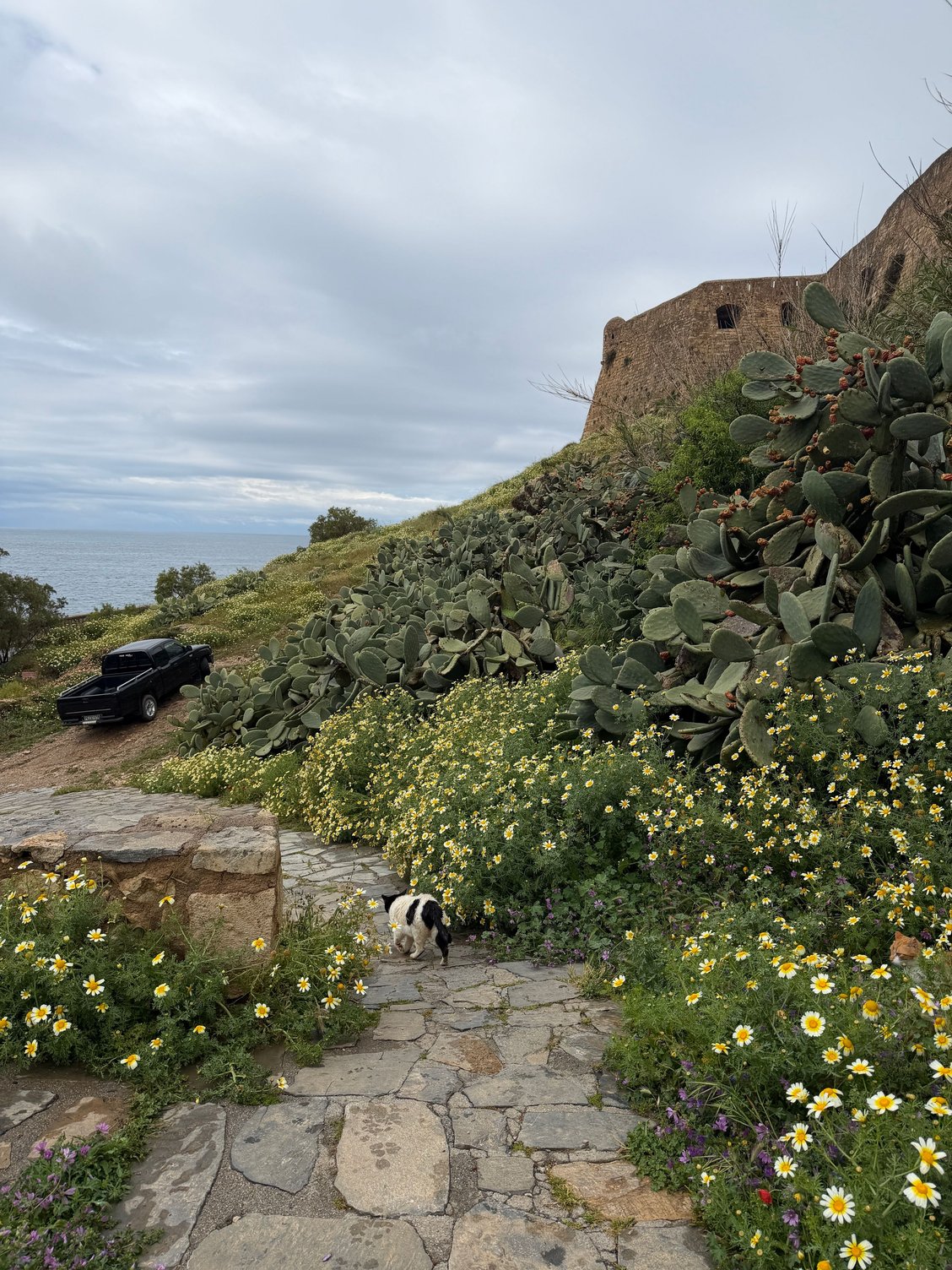 Beautiful path