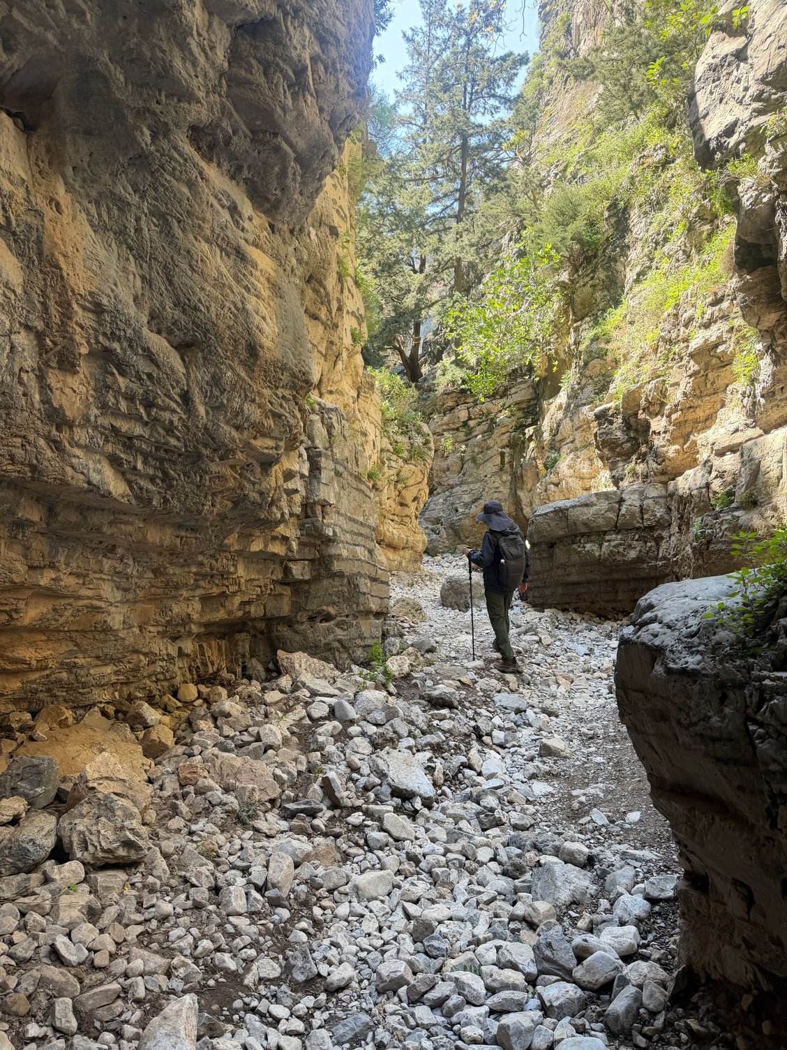 Out of the gorge