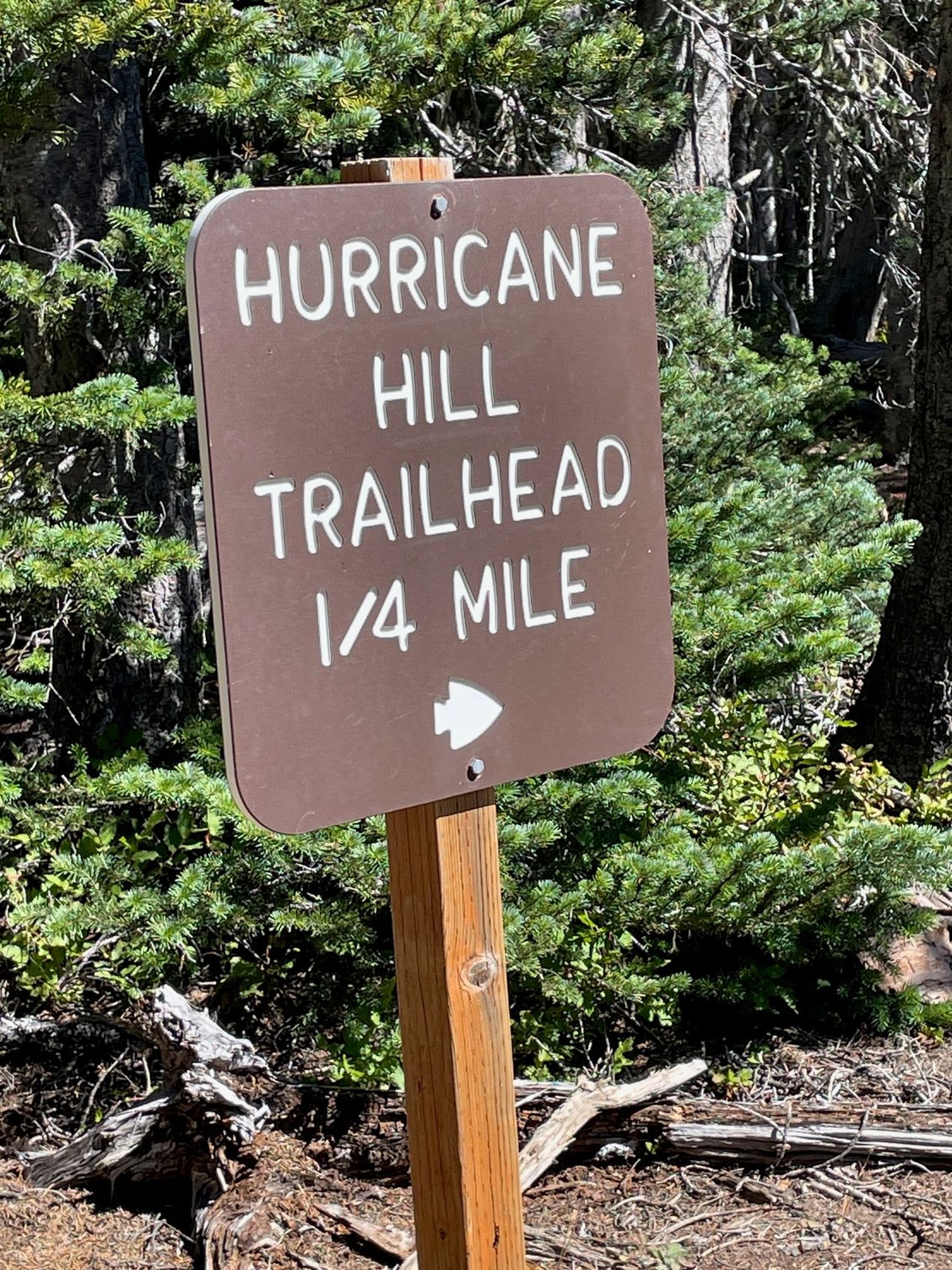 If you are like us, you may not get a parking space at the very top, come back to the picnic area and grab a spot then hike 1/4 mile to the start of the trail.