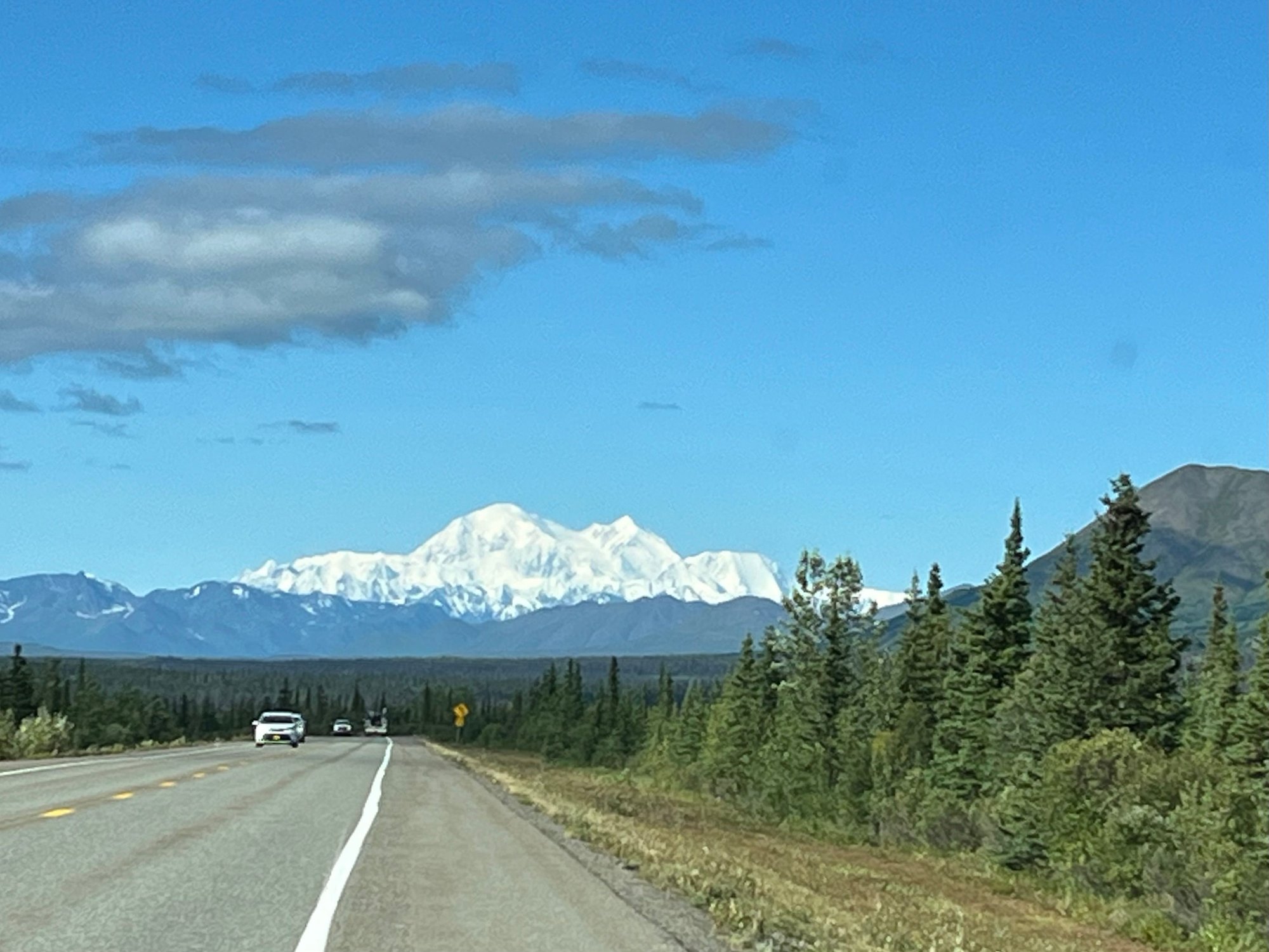 Pulled over on the side of Parks Hwy just past Cantwell. Did you notice the blue sky?