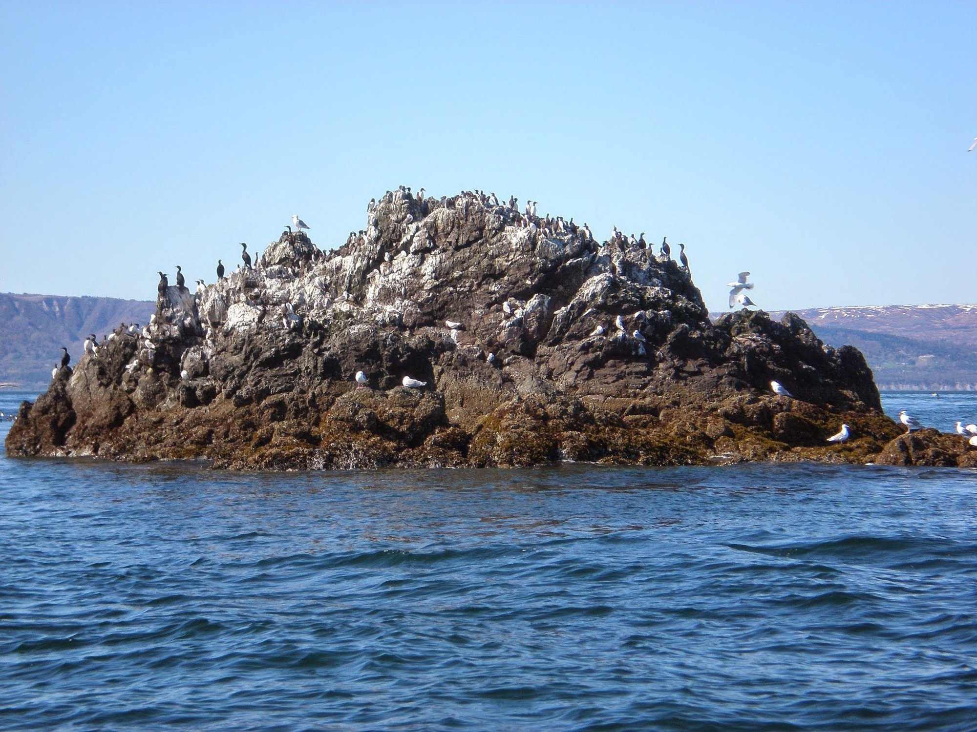 Gull Islands