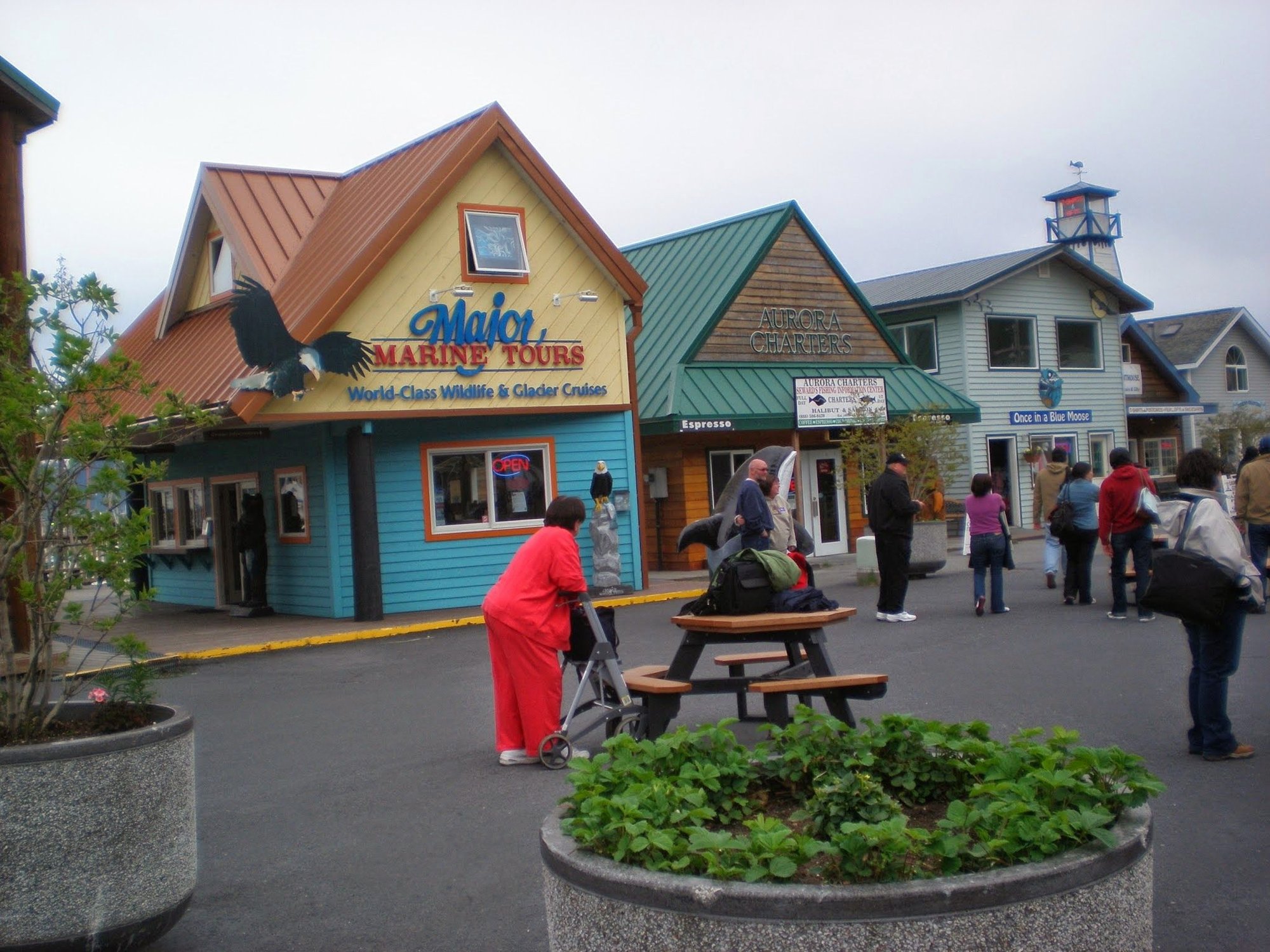 Seward Major Marine cruise