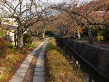 The Philosopher's Path