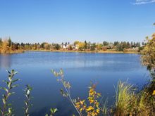 It take about 45 minutes to walk all around the lake, but of course ,you stop along the way to see the birds