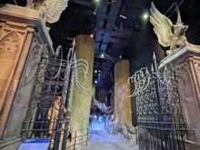 Entering the Forbidden Forest