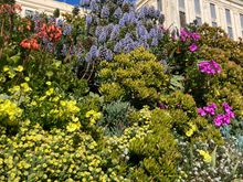 Garden of Alcatraz