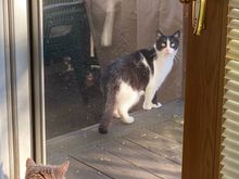 Social distancing, kitty style. 