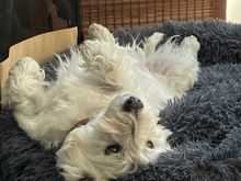 Per your request Percy. Here’s Barry chillin’