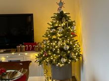 We got her this little tree the first time she held our family Christmas. 