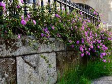 Lots of old stone walls