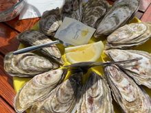 The oysters are so plump and sweet!