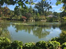 I’m seeing if I can add a photo. This is the place where I volunteer. Anderson Japanese Gardens today. 