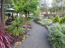 Coffee shop with gorgeous garden