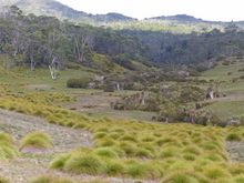 Heading to the hills