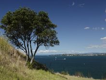  View from North Head