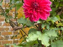 Loved this bright color. 