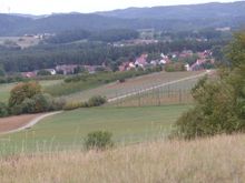 Peaceful rural views