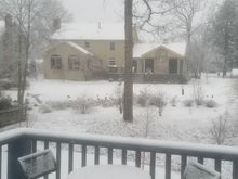 Our backyard neighbor sent us this photo of our house today. Gee, it’s a shame to miss Izzy! 