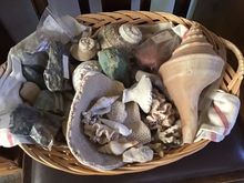 Need to display this