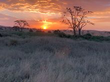 Serengeti sunset
