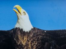 Detail from eagle poster, part of an excellent children's display at Ukee's Big Beach *this is not my foto.