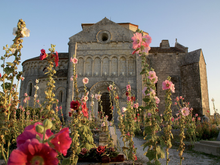 Talmont with Hollyhocks