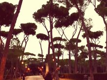 Villa Borghese trees, the jogger and me rejoicing under the Roman sky